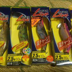 エギング釣行記