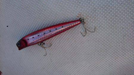 紀北ジギング、キャスティング