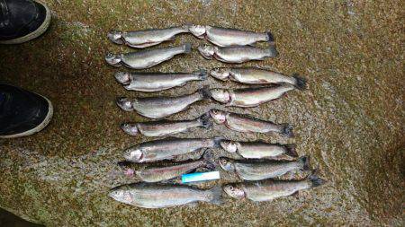 名阪森林パーク