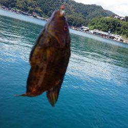 デイアジング　撃沈