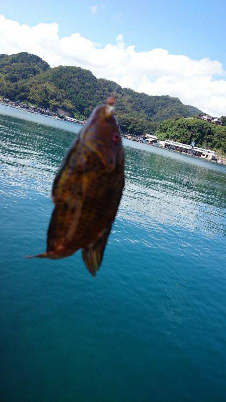 デイアジング　撃沈