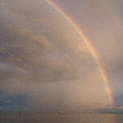 タチウオとサゴシ