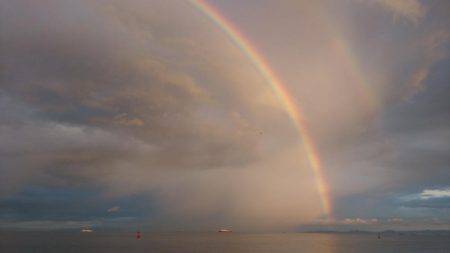 タチウオとサゴシ