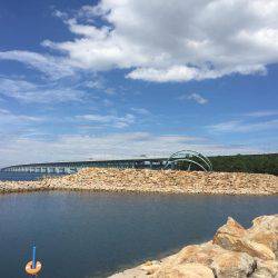 青物狙いのはずが