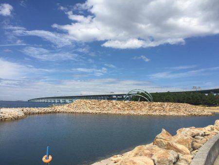 青物狙いのはずが