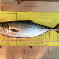 ショアジギング