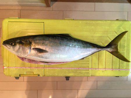 ショアジギング