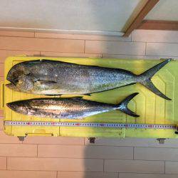 ショアジギング