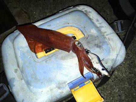 アジュール舞子は大混雑