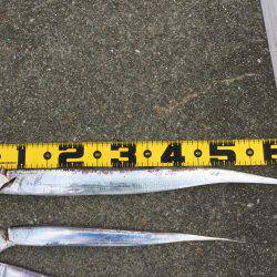 ボラジャンプ！　と思ったら。。。