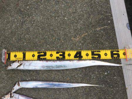 ボラジャンプ！　と思ったら。。。