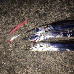 連日連夜絶好調٩(^‿^)۶