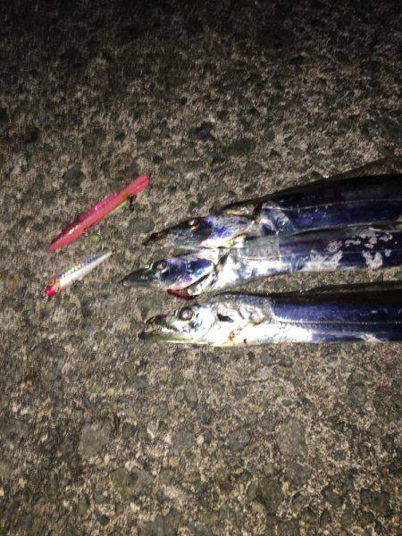 連日連夜絶好調٩(^‿^)۶