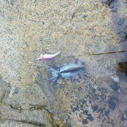 山陰海岸ジオパークにて