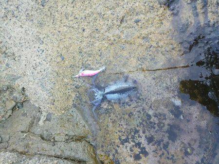 山陰海岸ジオパークにて