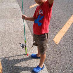 ポートアイランド、空港調査