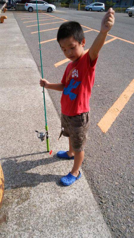 ポートアイランド、空港調査