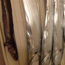 渋い原因は。。。