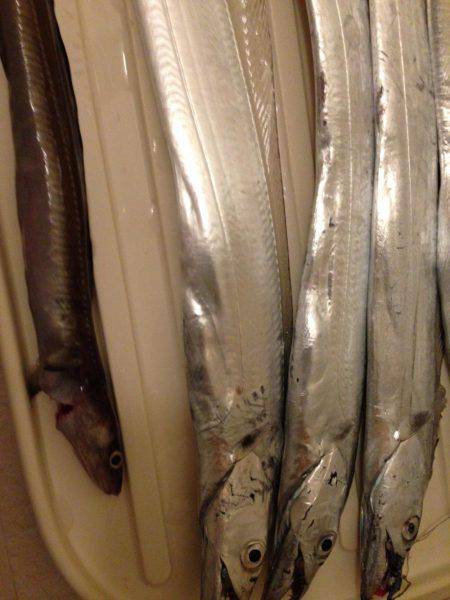 渋い原因は。。。