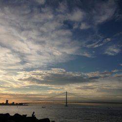 エギングでタチウオ