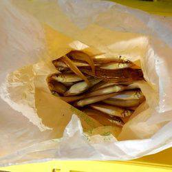 キスが食べたくて…