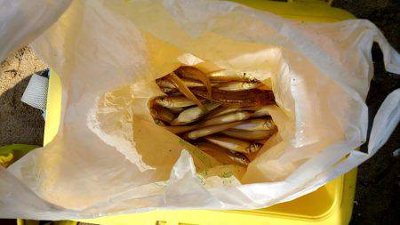 キスが食べたくて…