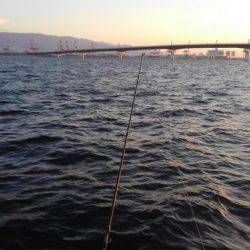 渋いと思うんですよ