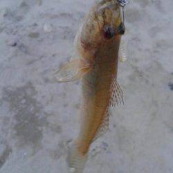 30分一本勝負！