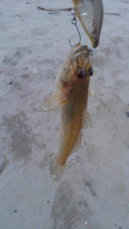 30分一本勝負！