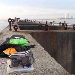 新波止タチウオ