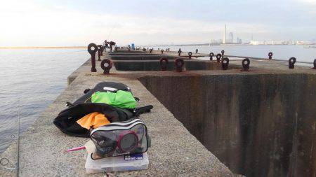 新波止タチウオ