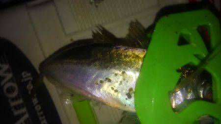 アジフライの材料を調達