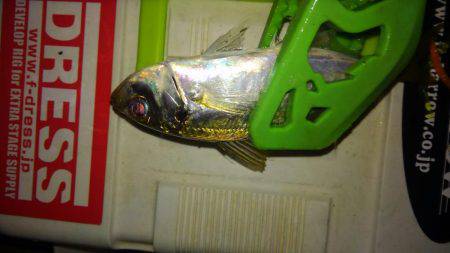 ワインド不発後