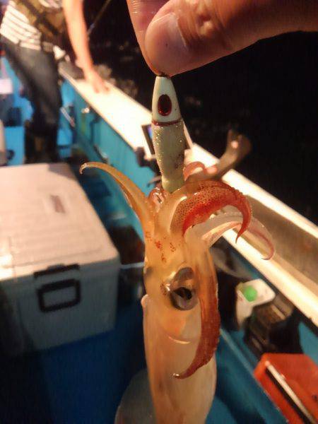 激渋イカメタル