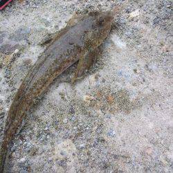 小雨ですが、ちょい投げ