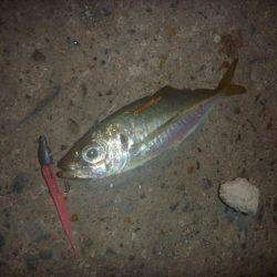 時合に遅れ。。。