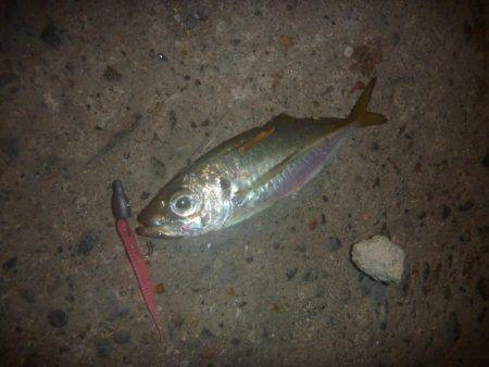 時合に遅れ。。。