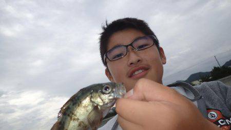 なかなか釣れた