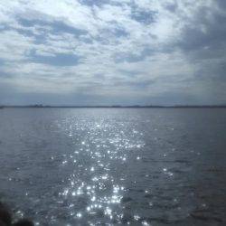 ワインドタチウオ