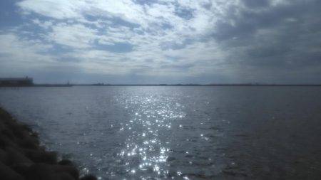 ワインドタチウオ