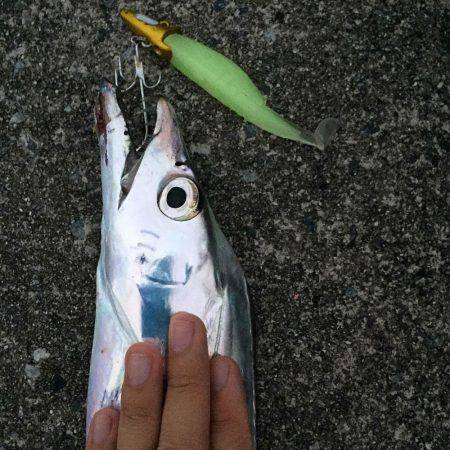 湾奥ケツブルワインド!