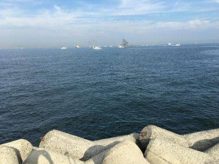 朝タチ   サゴシ不発