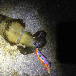 ニューロッドで！