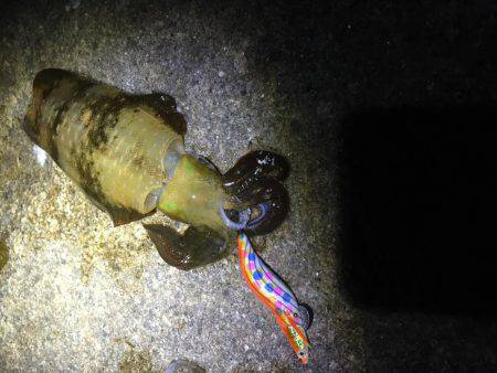 ニューロッドで！