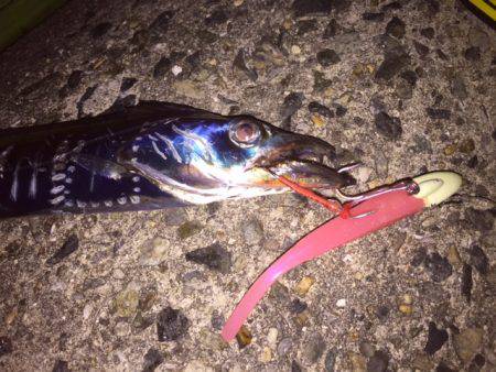 アタリが渋すぎ〜