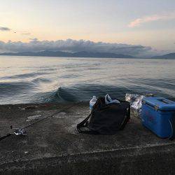 アオリイカとカマス開幕？