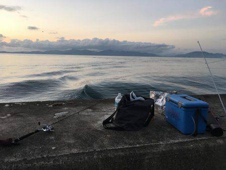 アオリイカとカマス開幕？