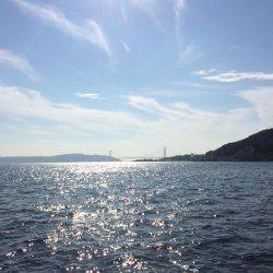 ウキ流しは惨敗も、なんとかアジをキープ