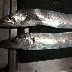 渋かったです！！