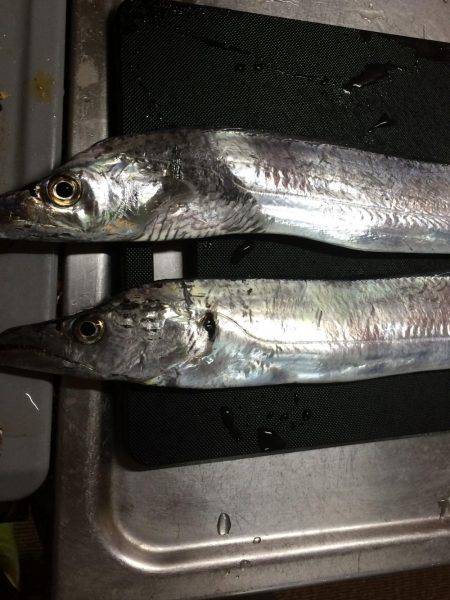 渋かったです！！